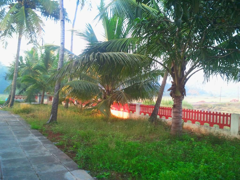 Quarto De Casa Tipri Saligao Esterno foto